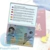 PassProtect Voor Paspoort | Beschermfolie | Herbruikbaar | Voorkom Identiteitsfraude | Beveiliging BSN En Pasfoto -Voyago Winkel 1138x1200 10