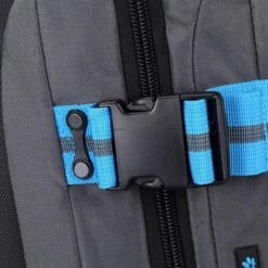 Decent Sport Line L Reistas 2 Wielen - Oranje 34 Decent Sport Line L Reistas 2 Wielen - Oranje -Voyago Winkel 1200x1200 2531