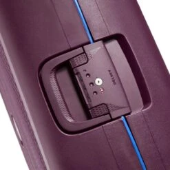 Delsey Moncey Trolley Case - 82 Cm - Purple 23 Delsey Moncey Trolley Case - 82 Cm - Purple -Voyago Winkel 1200x1200 430