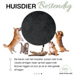 Blezliving® Nekkussen Staopstoel - Sta Op Stoel - Neksteunkussen Waterafstotend - Kussen Relaxstoel - PTMD Binnenkussen - Bureaustoel Kussen - Hoofdkussen Contragewicht - Nekrol - Fauteuil - Auto - Flair Zwart -Voyago Winkel 1200x1200 4669