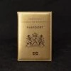 SY Goods - Gouden Kunstleren Paspoorthouder - Paspoort Hoesje - Cover - Nederland -Voyago Winkel 1200x1200 4737