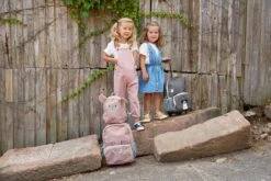 Lässig Tiny Backpack Trolley About Friends Racoon -Voyago Winkel 1200x800 60