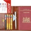 Merkloos Jeans Style RFID Paspoort Hoesje Anti Skim / Paspoorthouder Blauw - Cognac 2 Merkloos Jeans Style RFID Paspoort Hoesje Anti Skim / Paspoorthouder Blauw - Cognac -Voyago Winkel 1200x968 11