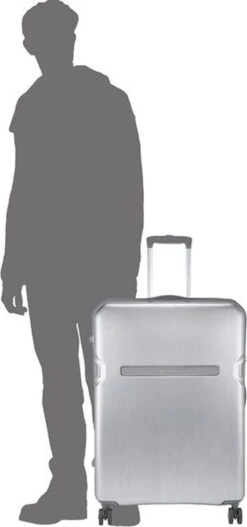 Carlton Insignia NXT Spinner Case 79 Cm - Pearl Silver 10 Carlton Insignia NXT Spinner Case 79 Cm - Pearl Silver -Voyago Winkel 562x1200