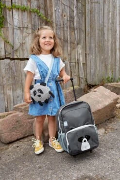 Lässig Tiny Backpack Trolley About Friends Racoon -Voyago Winkel 800x1200 96