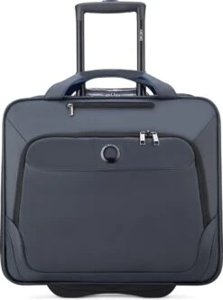 Delsey Parvis Plus Trolley L - 17.3 Inch Laptopvak - Grijs -Voyago Winkel 893x1200 1
